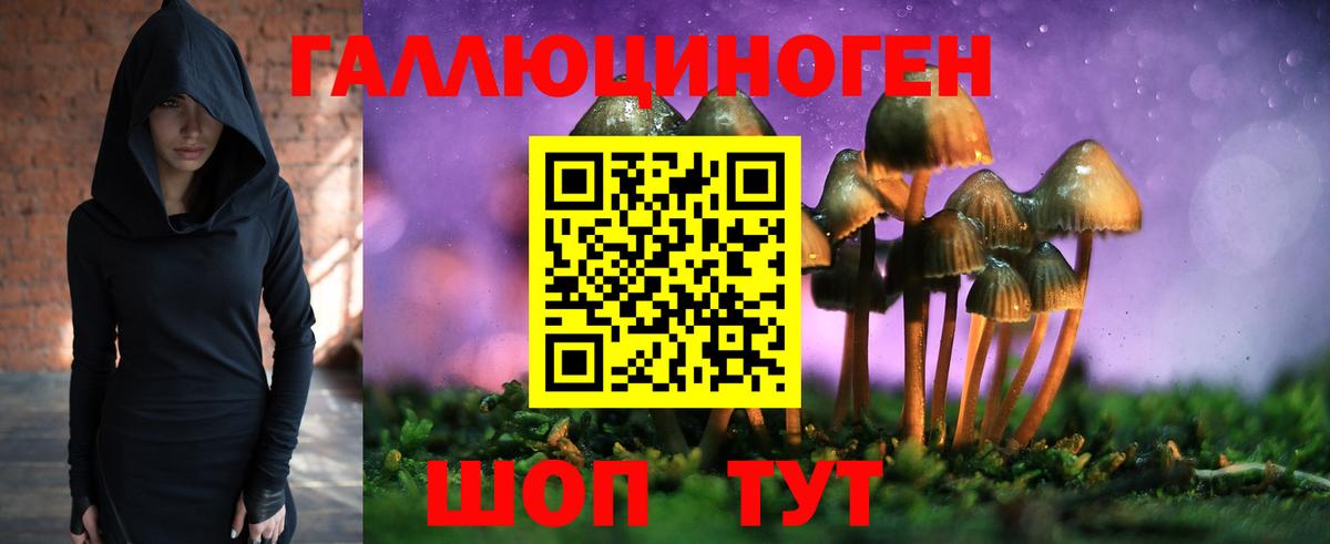 Псилоцибиновые грибы Psilocybine cubensis Мыски